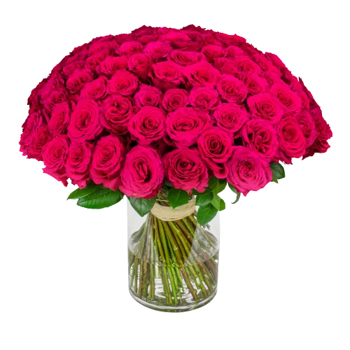 kytice růžových růží